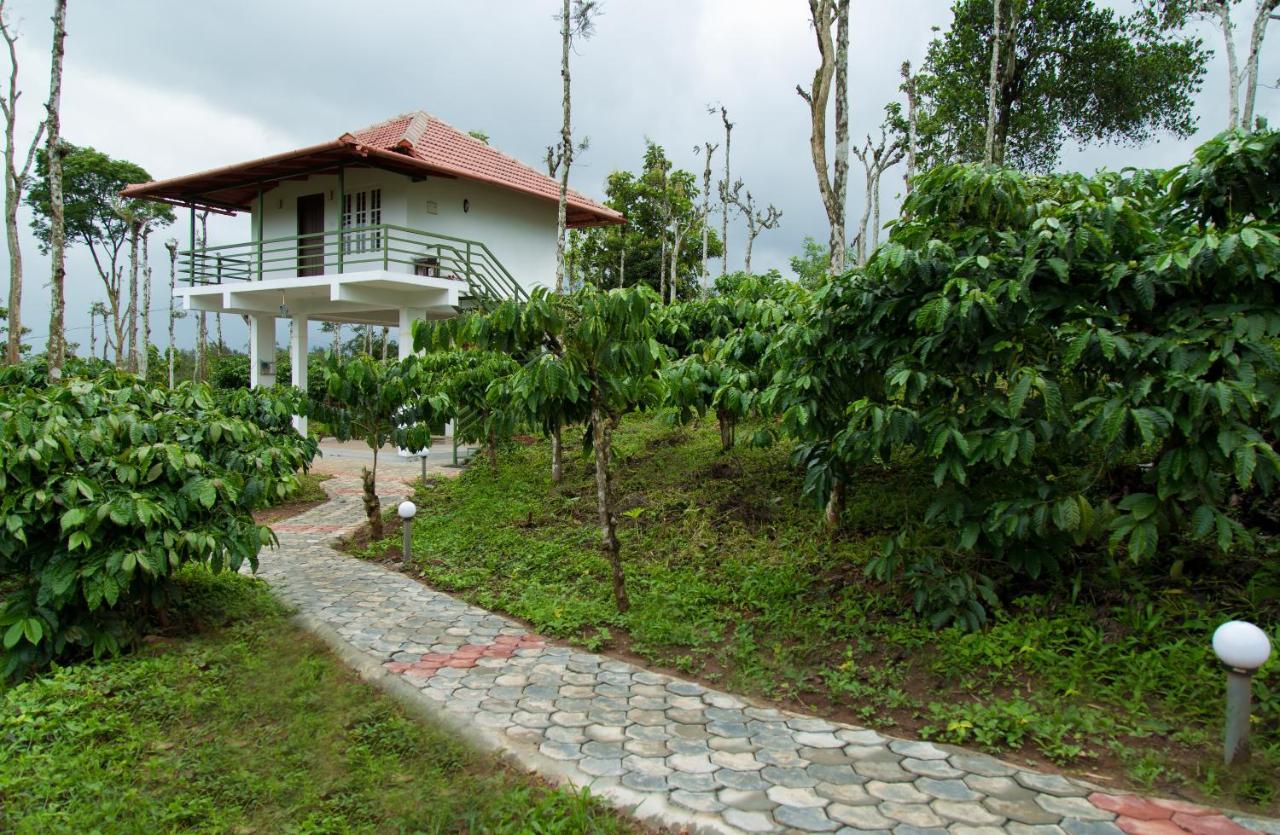 Bed and Breakfast The Suvistara Wayanad Kerala Meenangadi Экстерьер фото