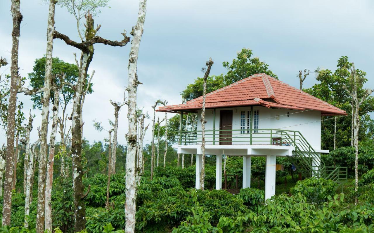 Bed and Breakfast The Suvistara Wayanad Kerala Meenangadi Экстерьер фото
