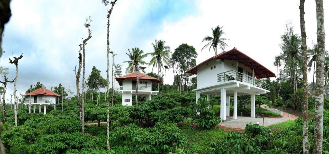 Bed and Breakfast The Suvistara Wayanad Kerala Meenangadi Экстерьер фото